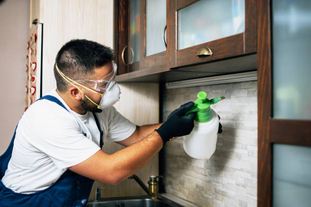 Best Commercial Pest Control Services  in Salem, OH