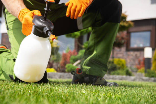 Best Residential Pest Control  in Salem, OH