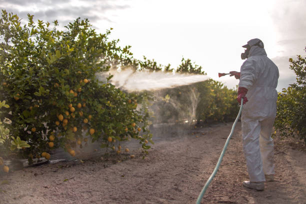 Best Bed Bug Extermination  in Salem, OH