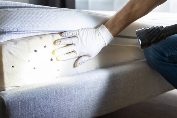 Pest Control for Restaurants in Salem, OH